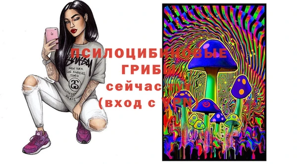 МДМА Алексеевка