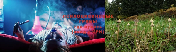 Альфа ПВП Алексин