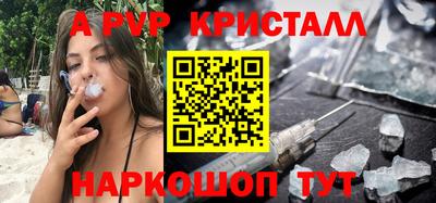 шишки Бердск