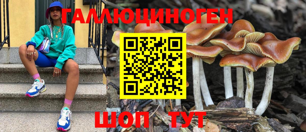 Галлюциногенные грибы мухоморы Алексеевка