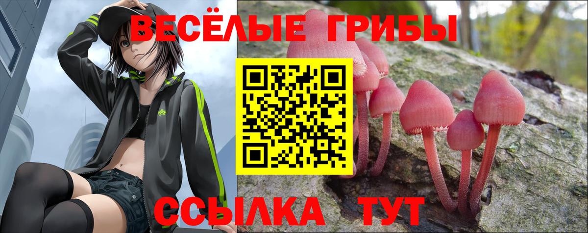 Псилоцибиновые грибы GOLDEN TEACHER  Вход с VPN  Алексеевка 